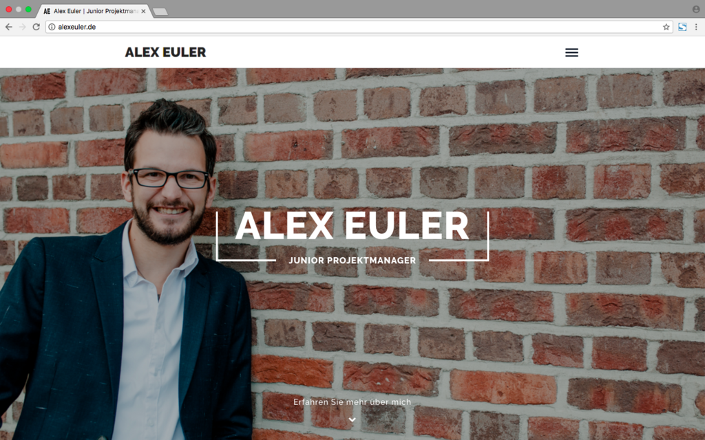Alex Euler Website 2018