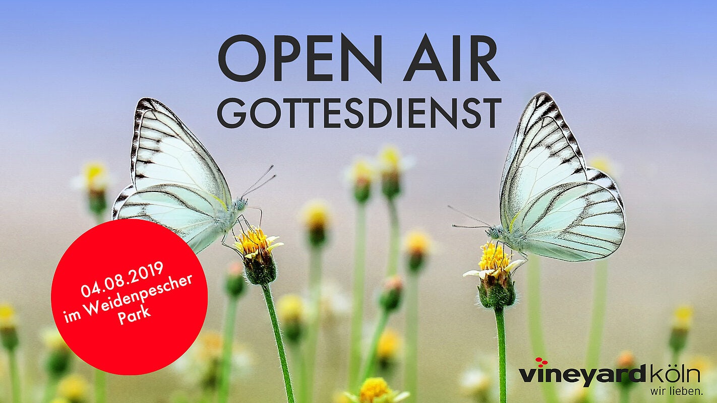 Vineyard Köln screen design open air